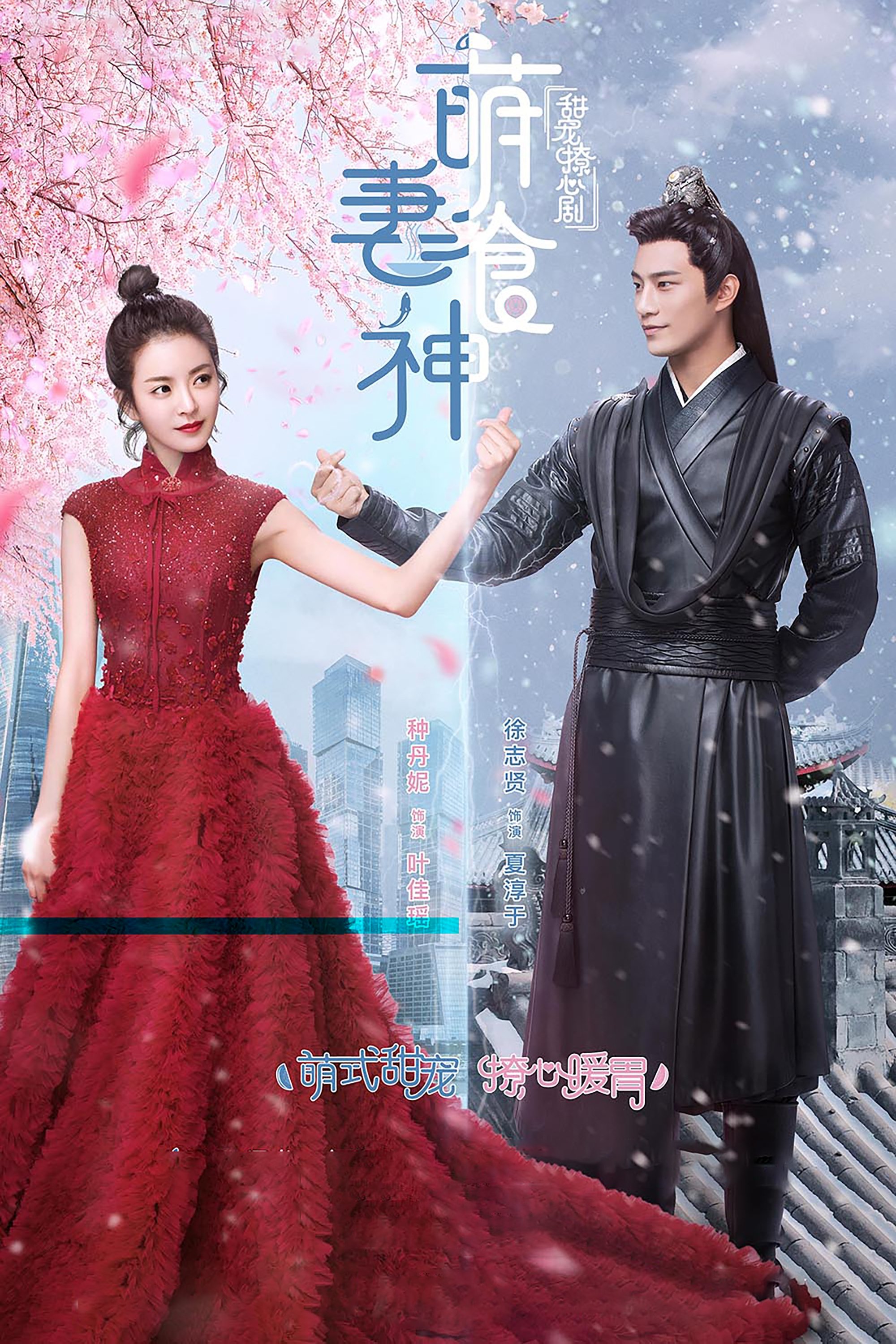 Poster de Cinderella Chef