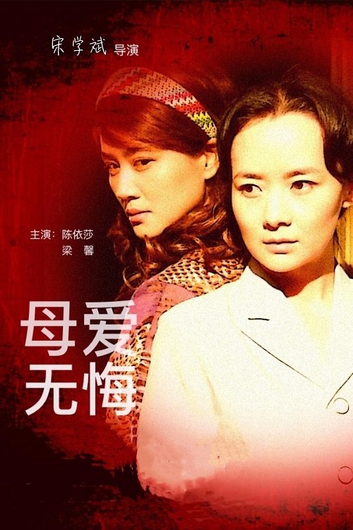 Poster de 母爱无悔