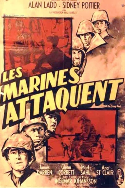 Affiche du film Les marines attaquent