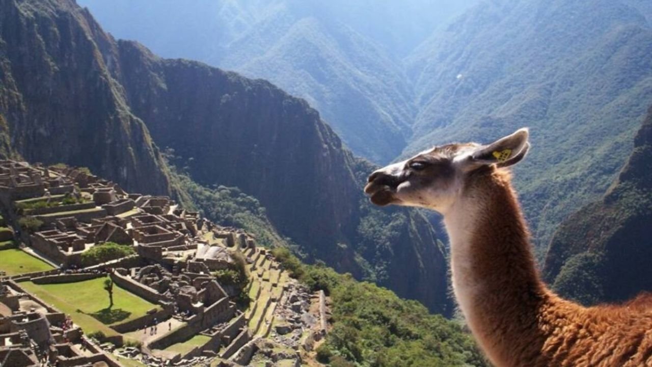 En busca de la ciudad perdida