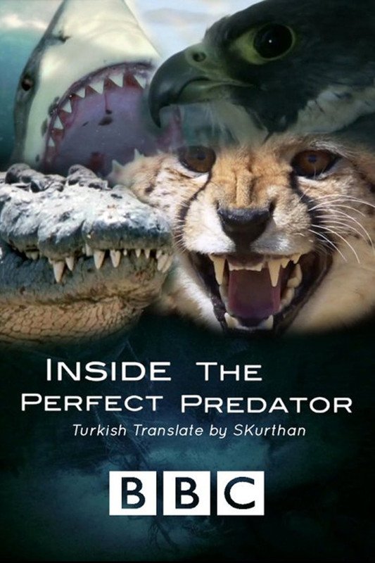 Poster de Inside the Perfect Predator