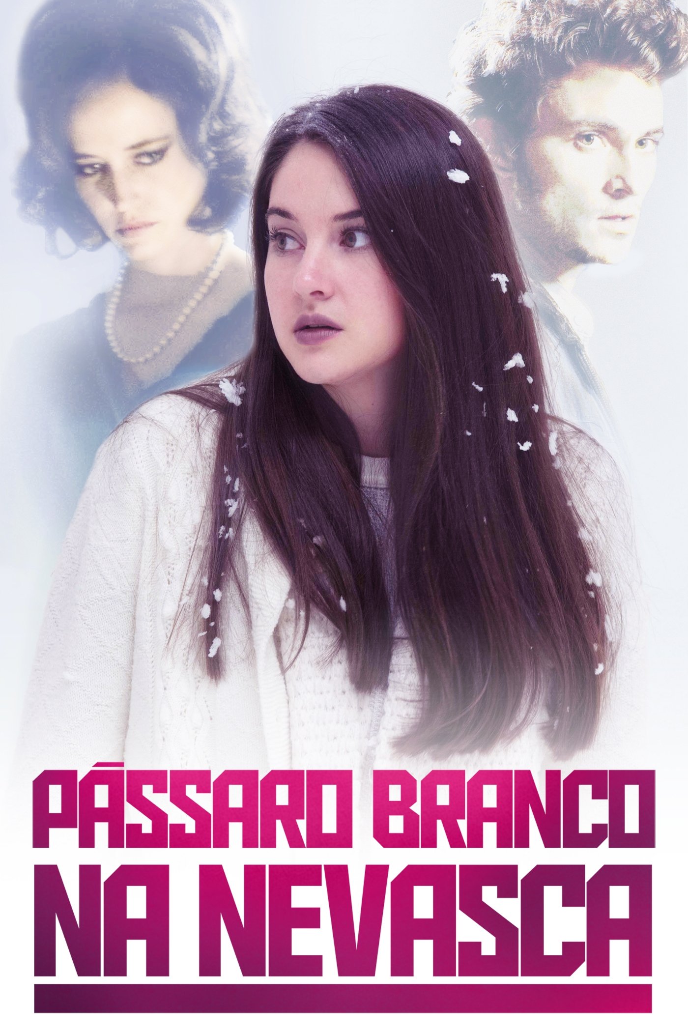 Poster de Pássaro Branco na Nevasca