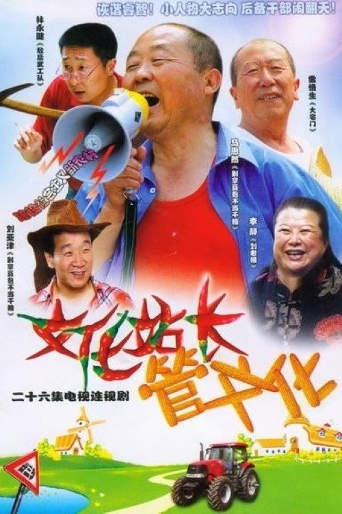 Poster de 文化站长