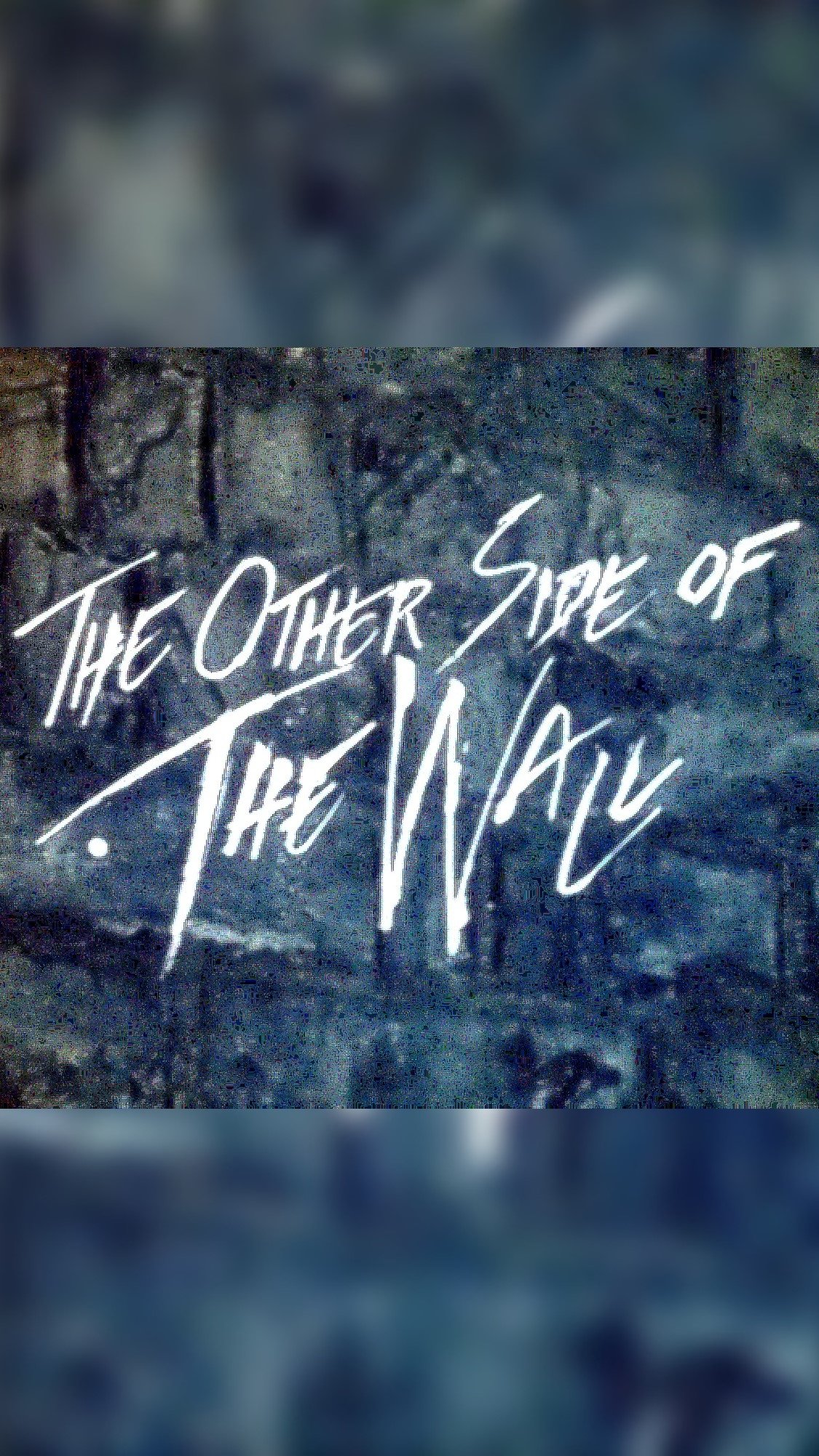 Poster de The Other Side of the Wall