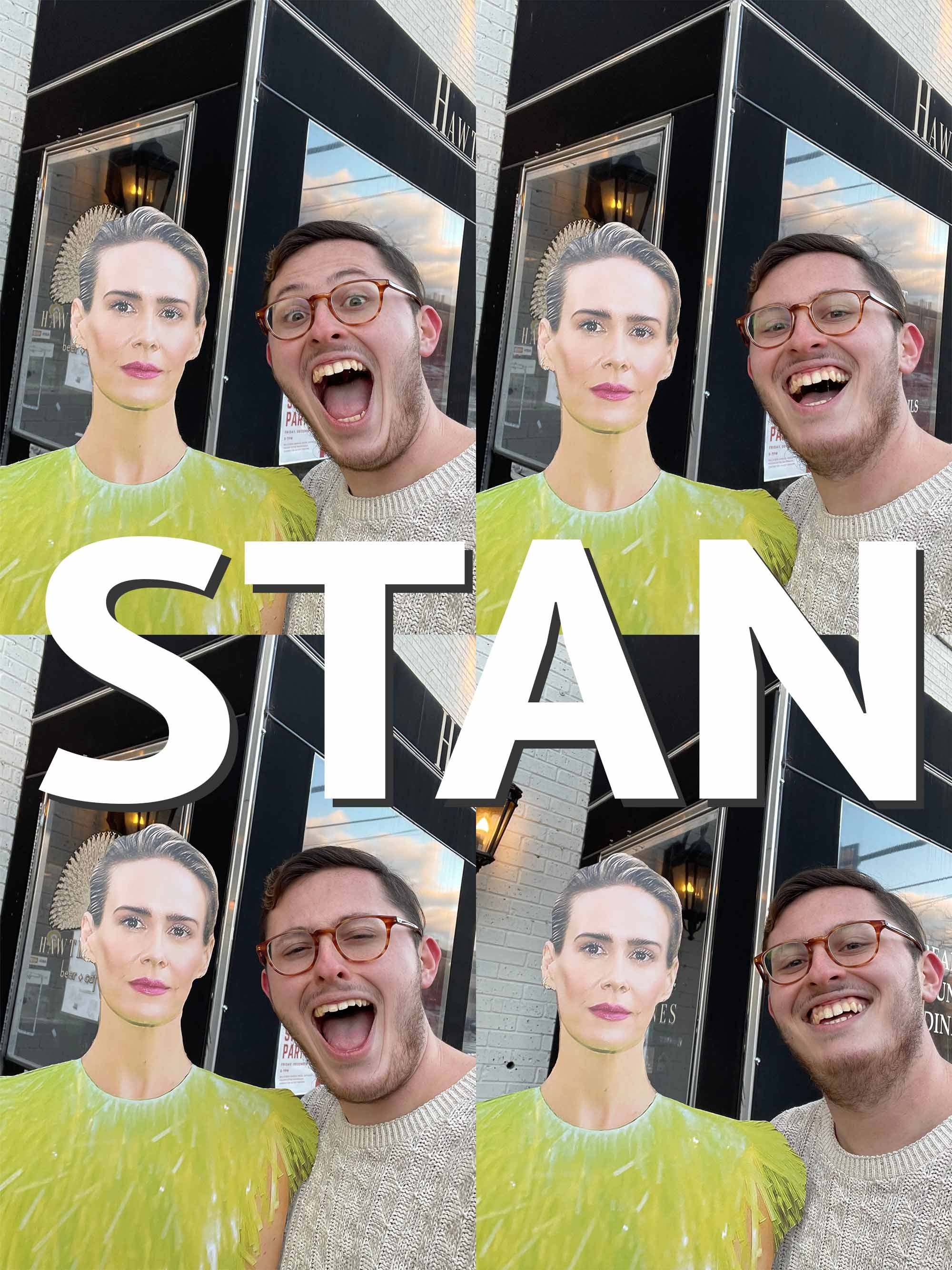 Poster de STAN