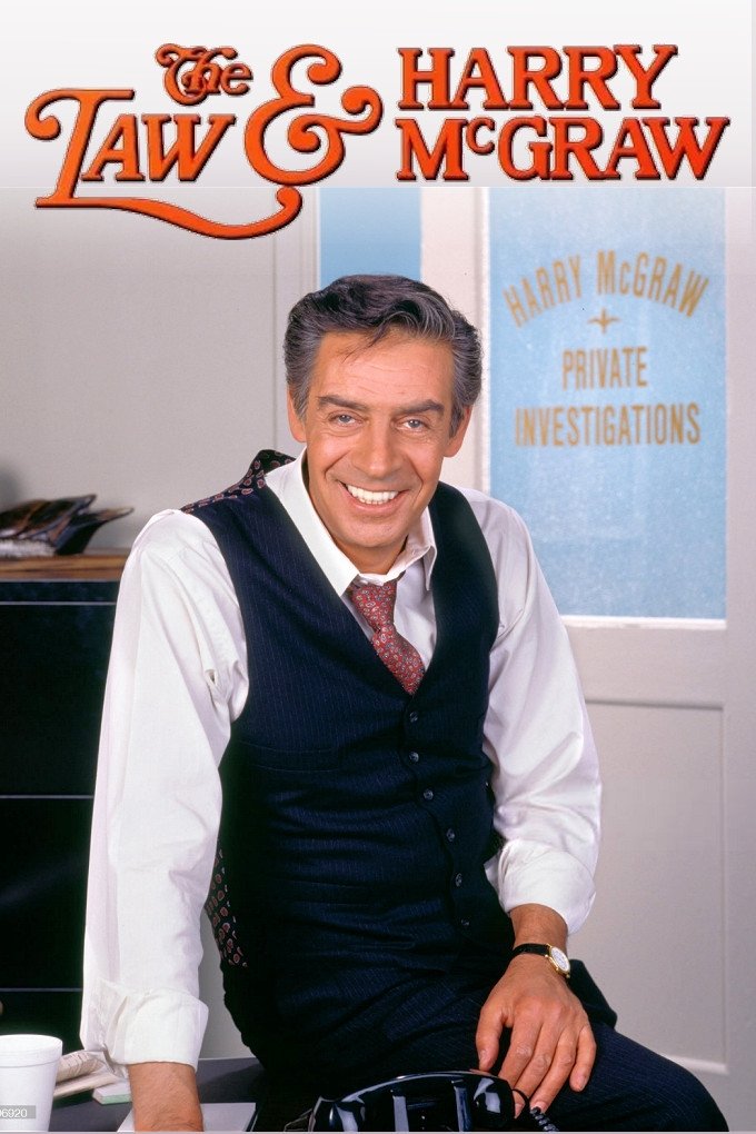Poster de The Law & Harry McGraw