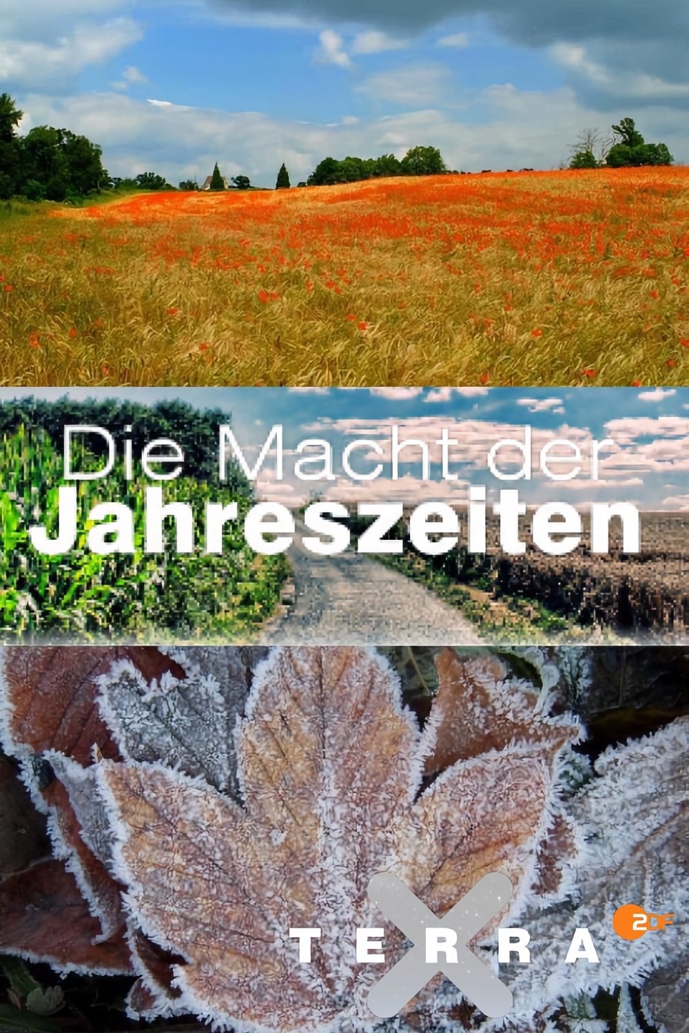 Poster de Die Macht der Jahreszeiten