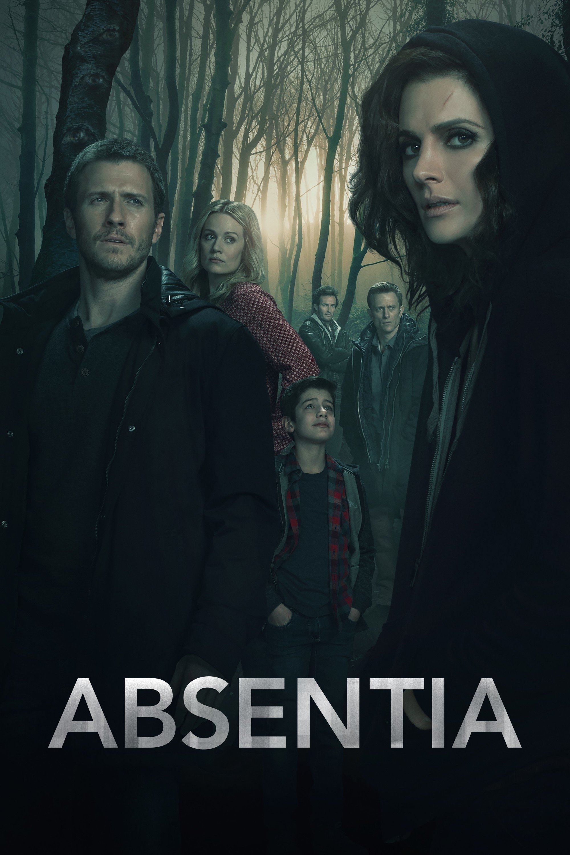 Poster de Ausência