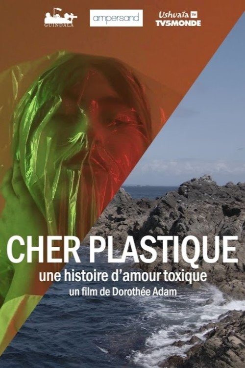 Poster de Cher plastique, une histoire d'amour toxique