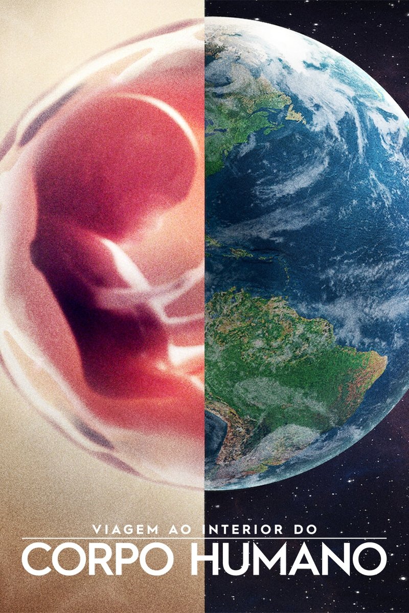 Poster de Corpo Humano: Nosso Mundo Interior