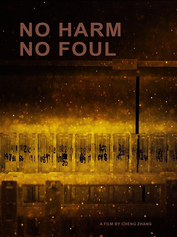 Poster de No Harm No Foul