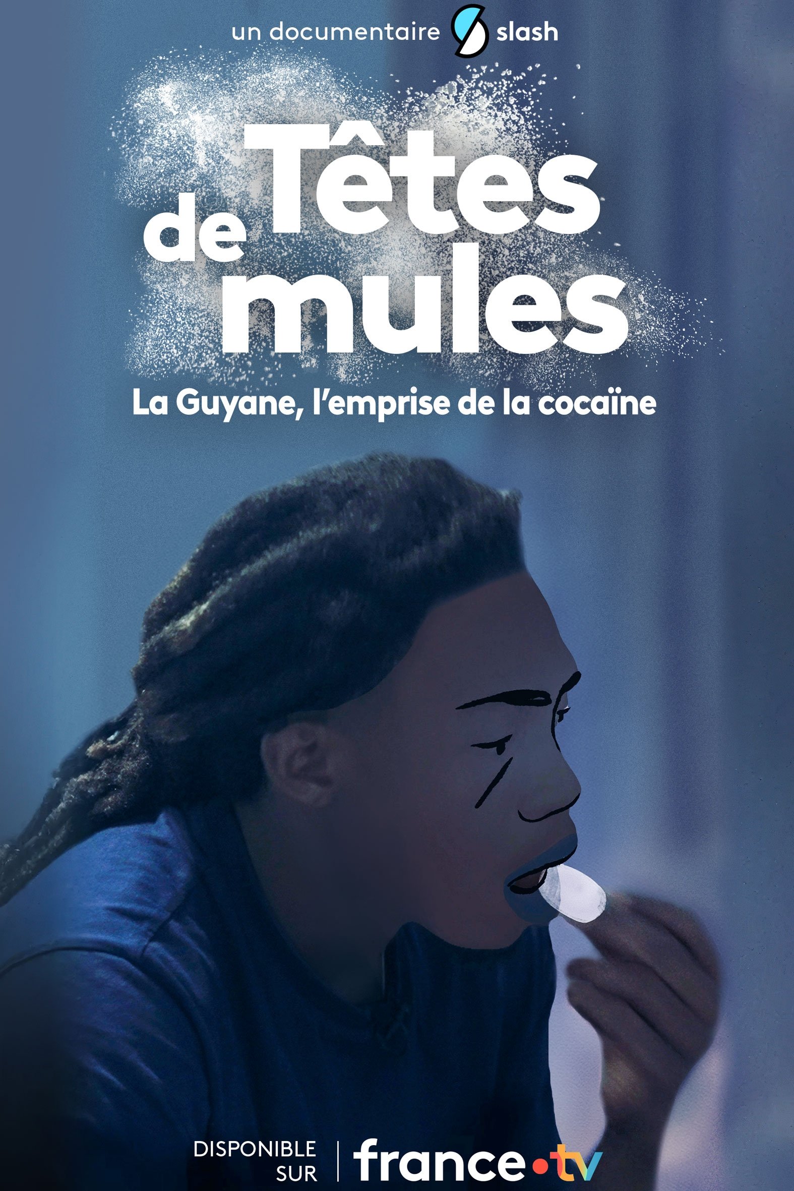 Poster de Têtes de mules : La Guyane, l'emprise de la cocaïne