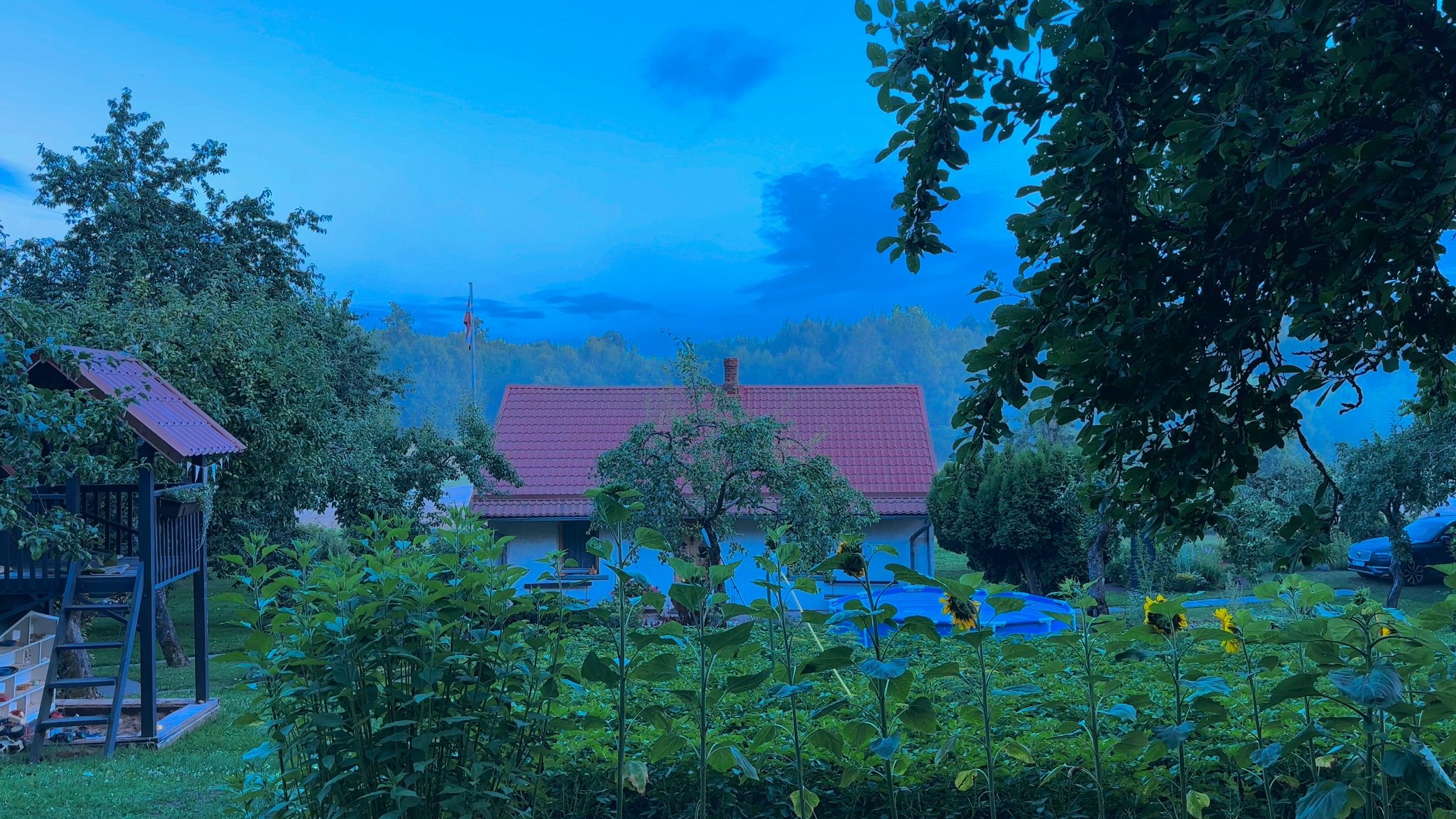 Backdrop image