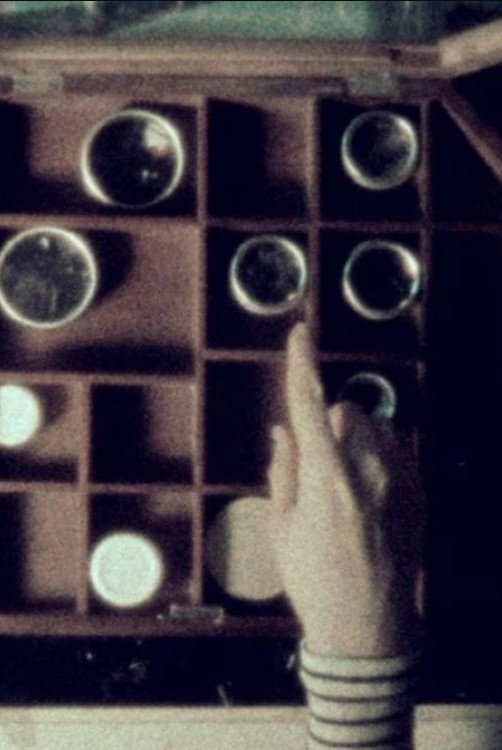 Poster de Suzanne Ciani on Letterman