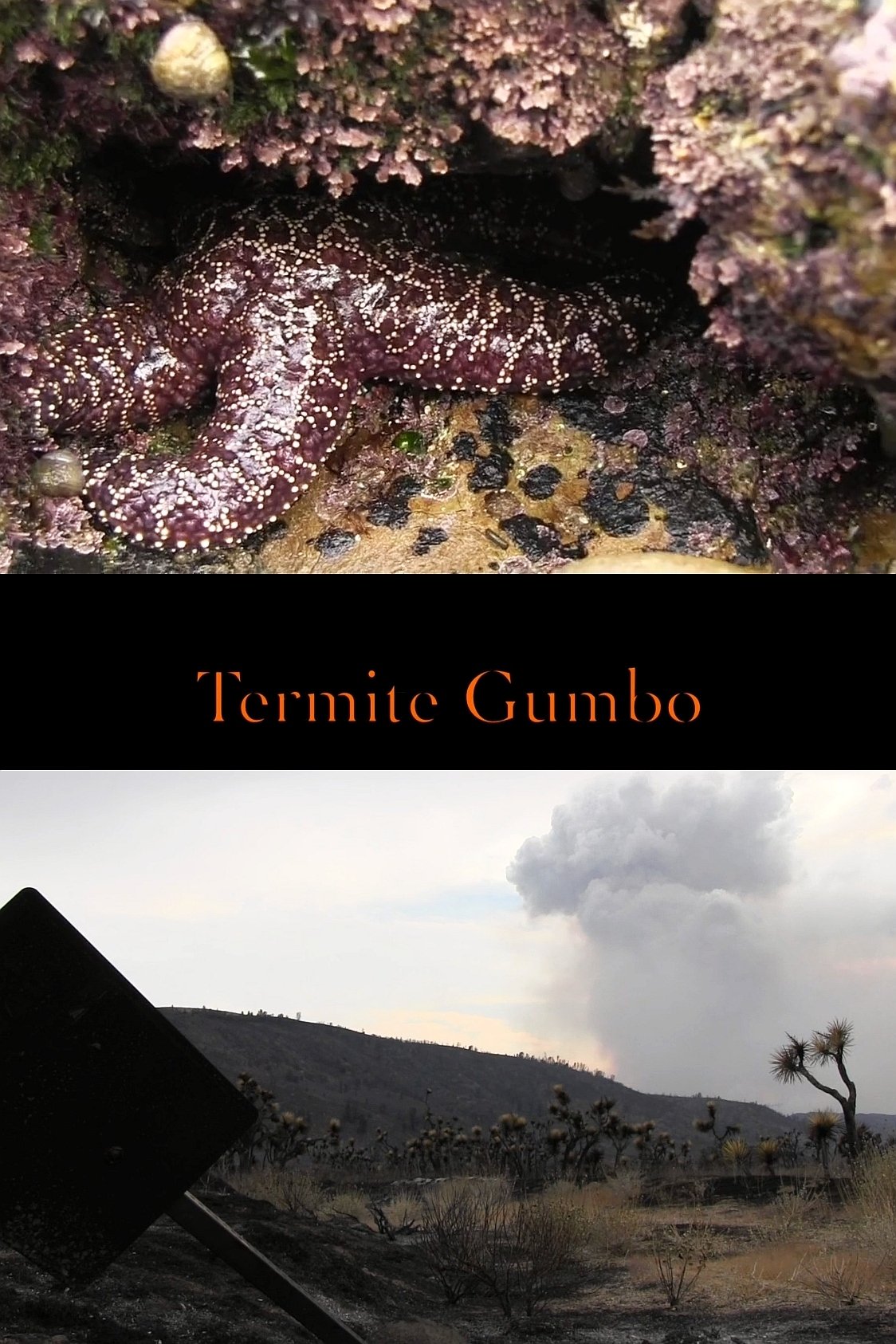 Poster de Termite Gumbo