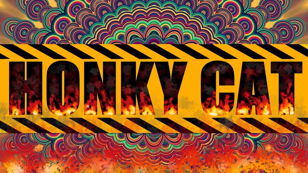 Honky Cat