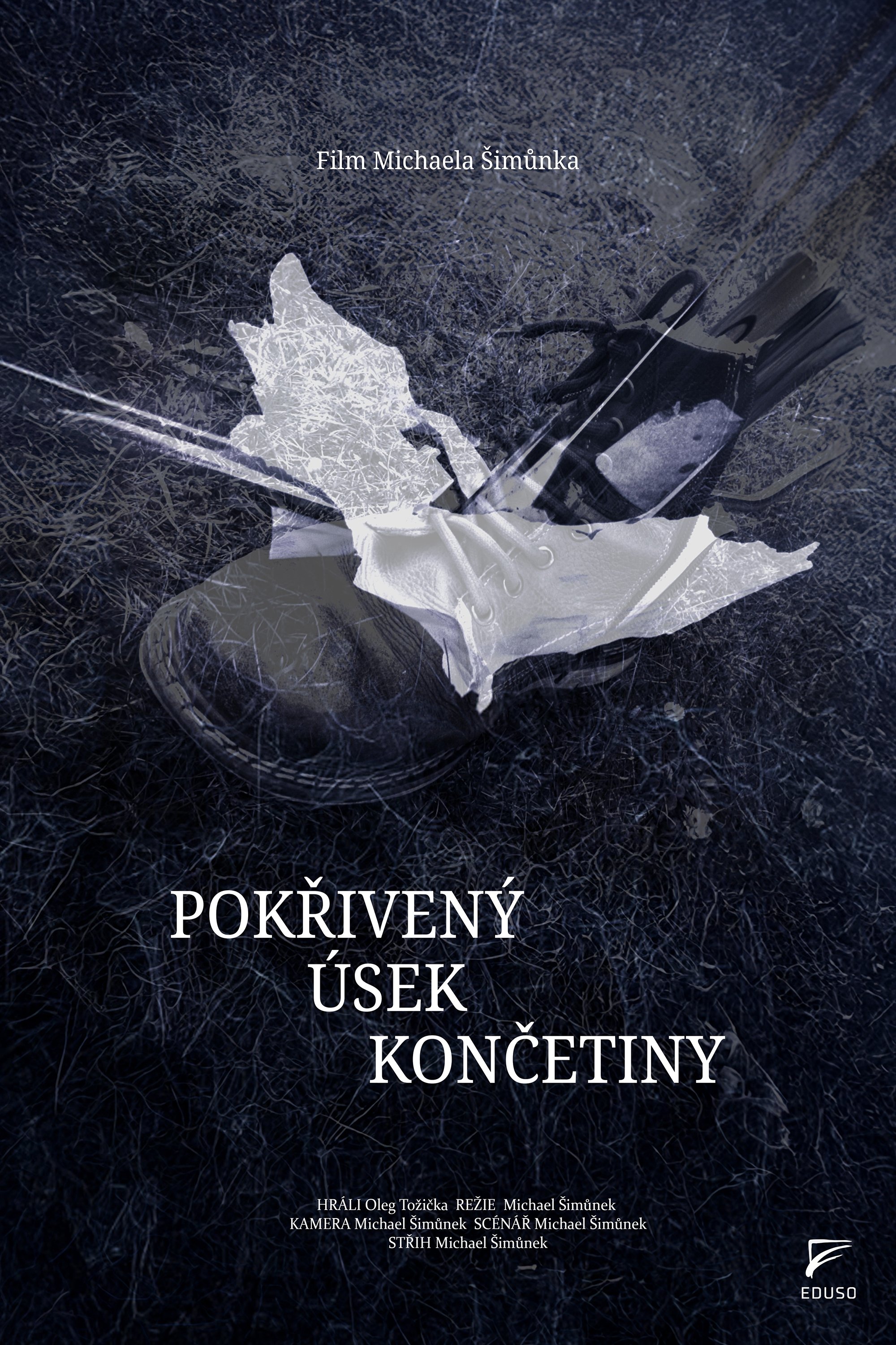 Poster de Pokřivený úsek končetiny