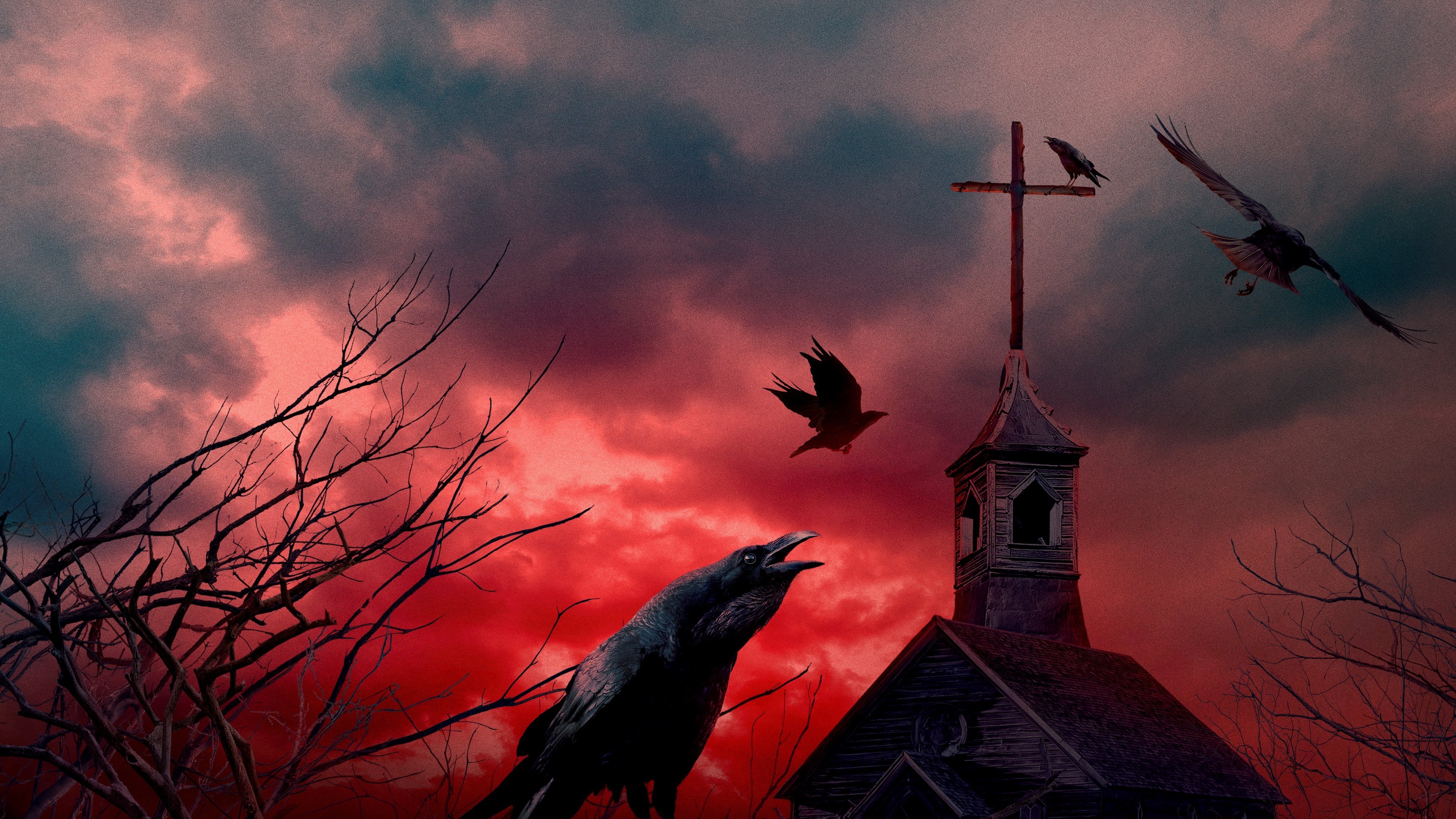 Backdrop image