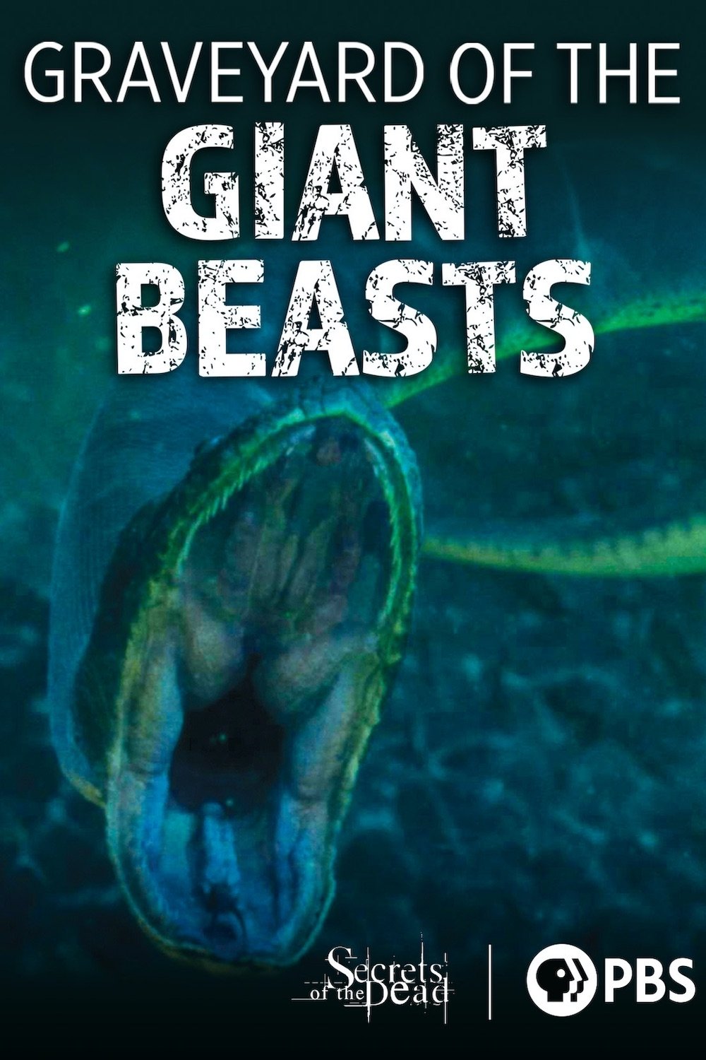 Poster de Secrets of the Dead: Graveyard of the Giant Beasts