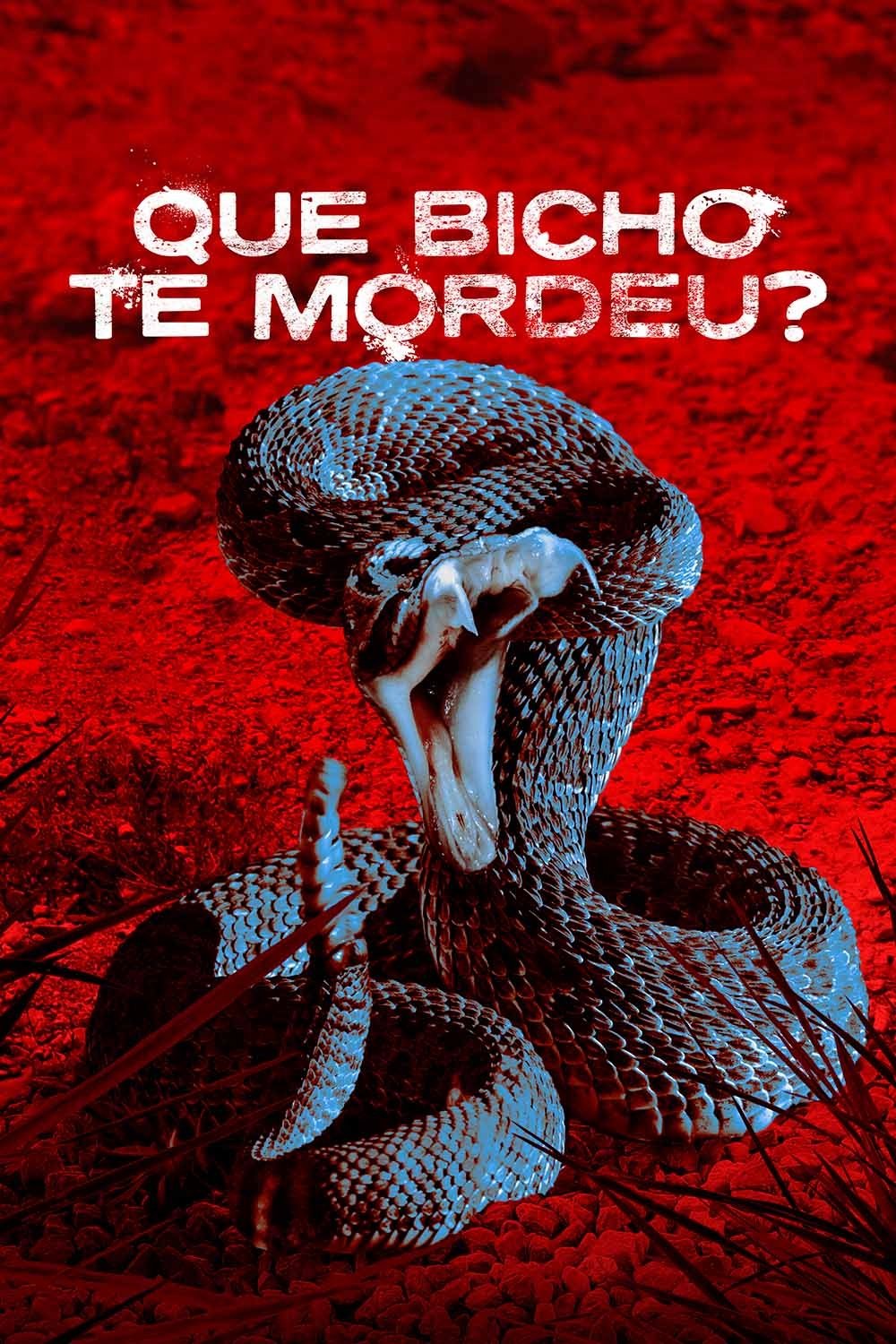 Poster de Que Bicho te Mordeu?