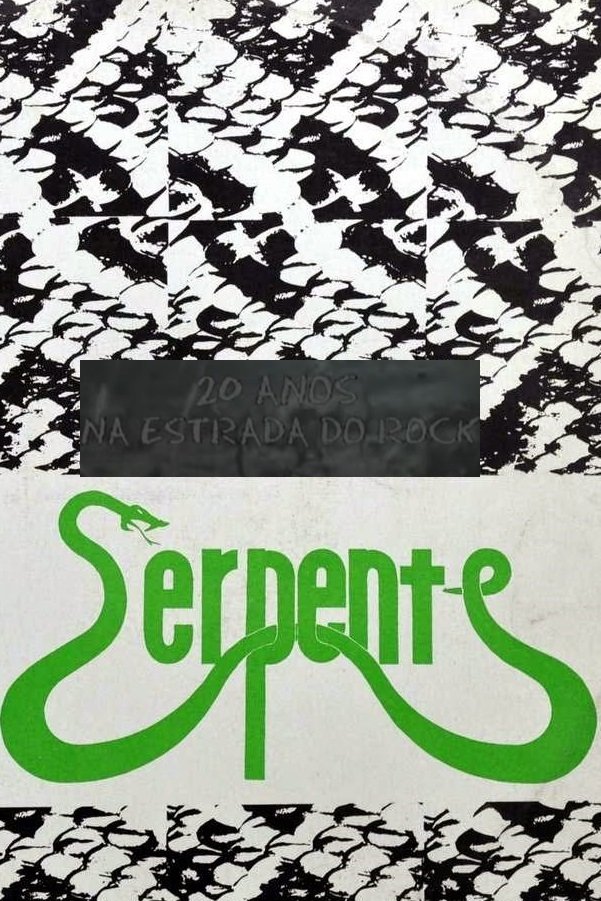 Poster de 20 Anos na Estrada do Rock