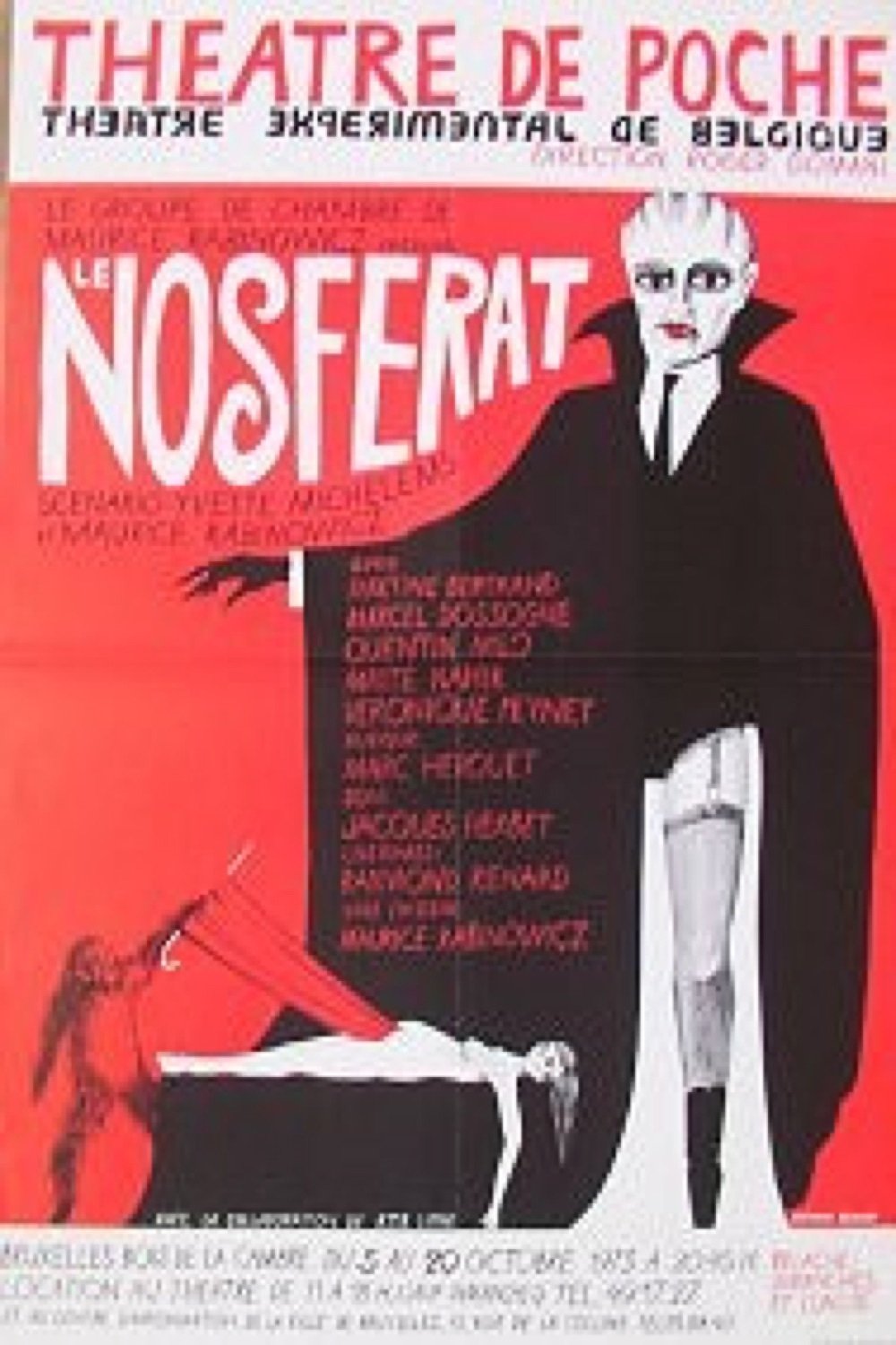 Affiche du film Le nosferat ou les eaux glacées de calcul égoiste