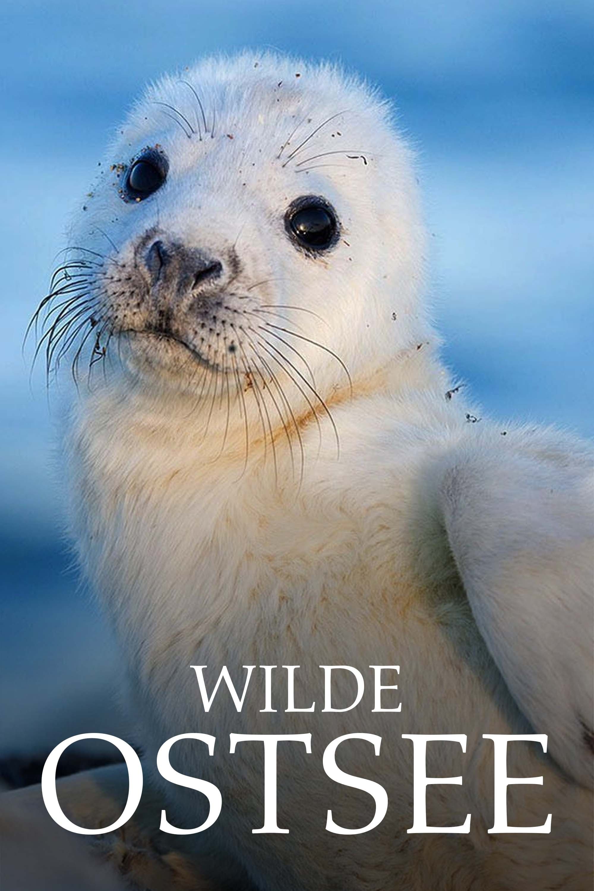 Poster de Wilde Ostsee