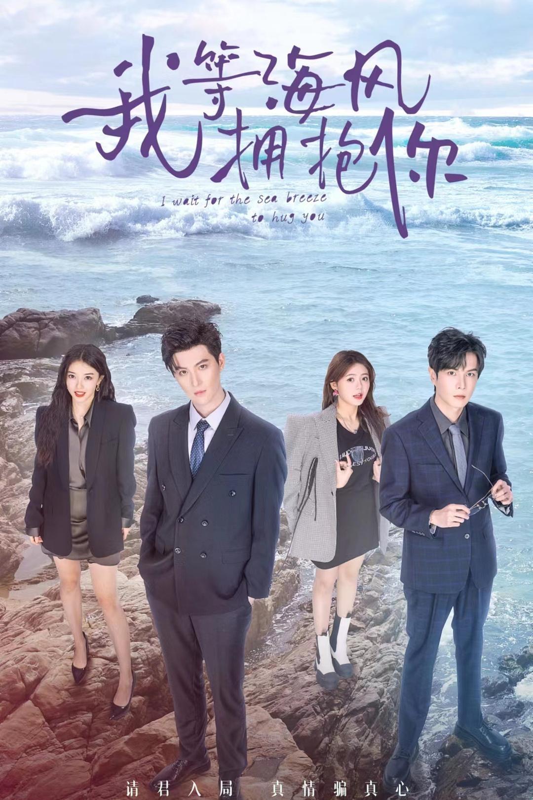 Poster de 我等海风拥抱你