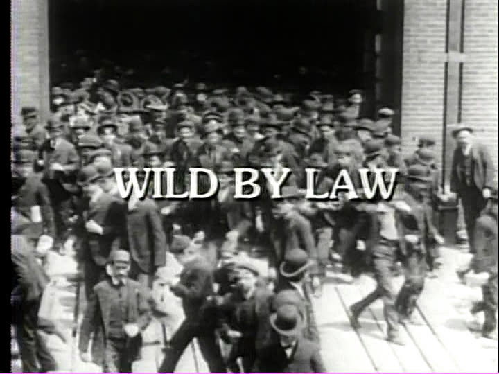Wild by Law