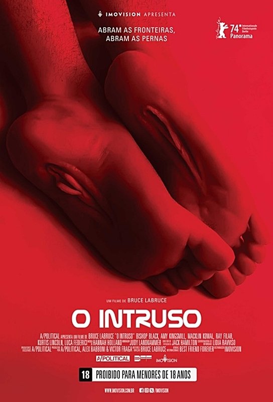 Poster de O Intruso