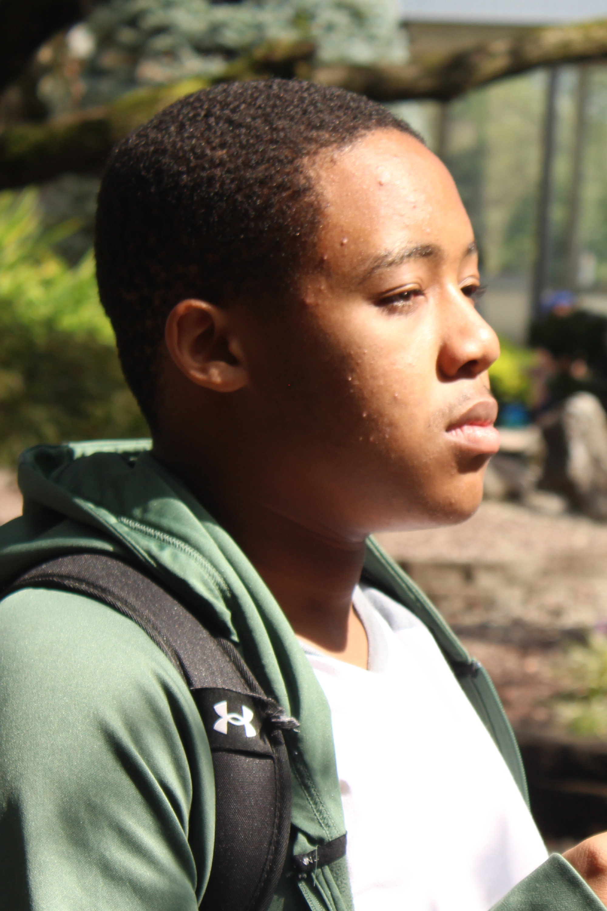 Project Costco Hot Dog