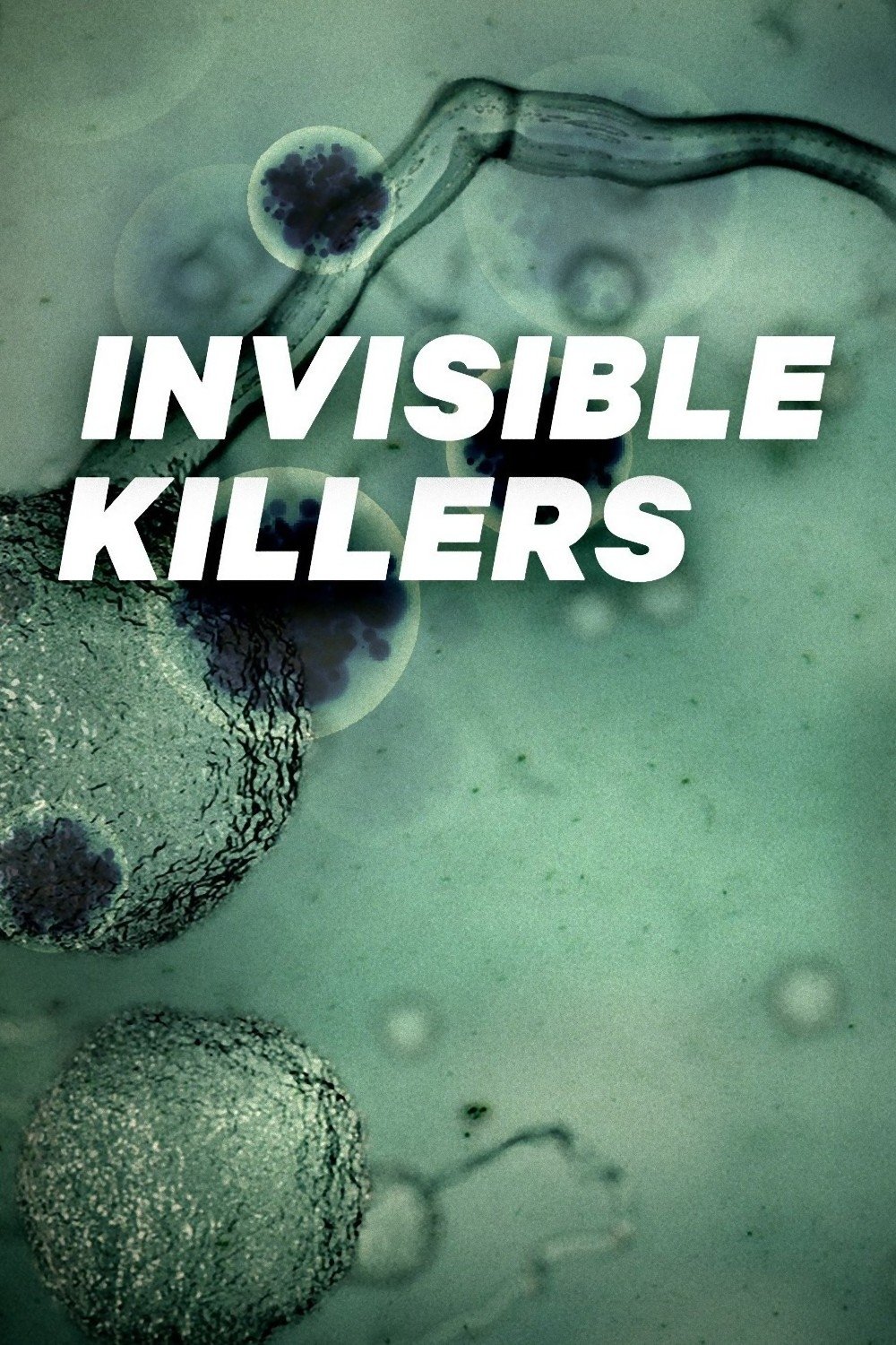 Poster de Invisible Killers