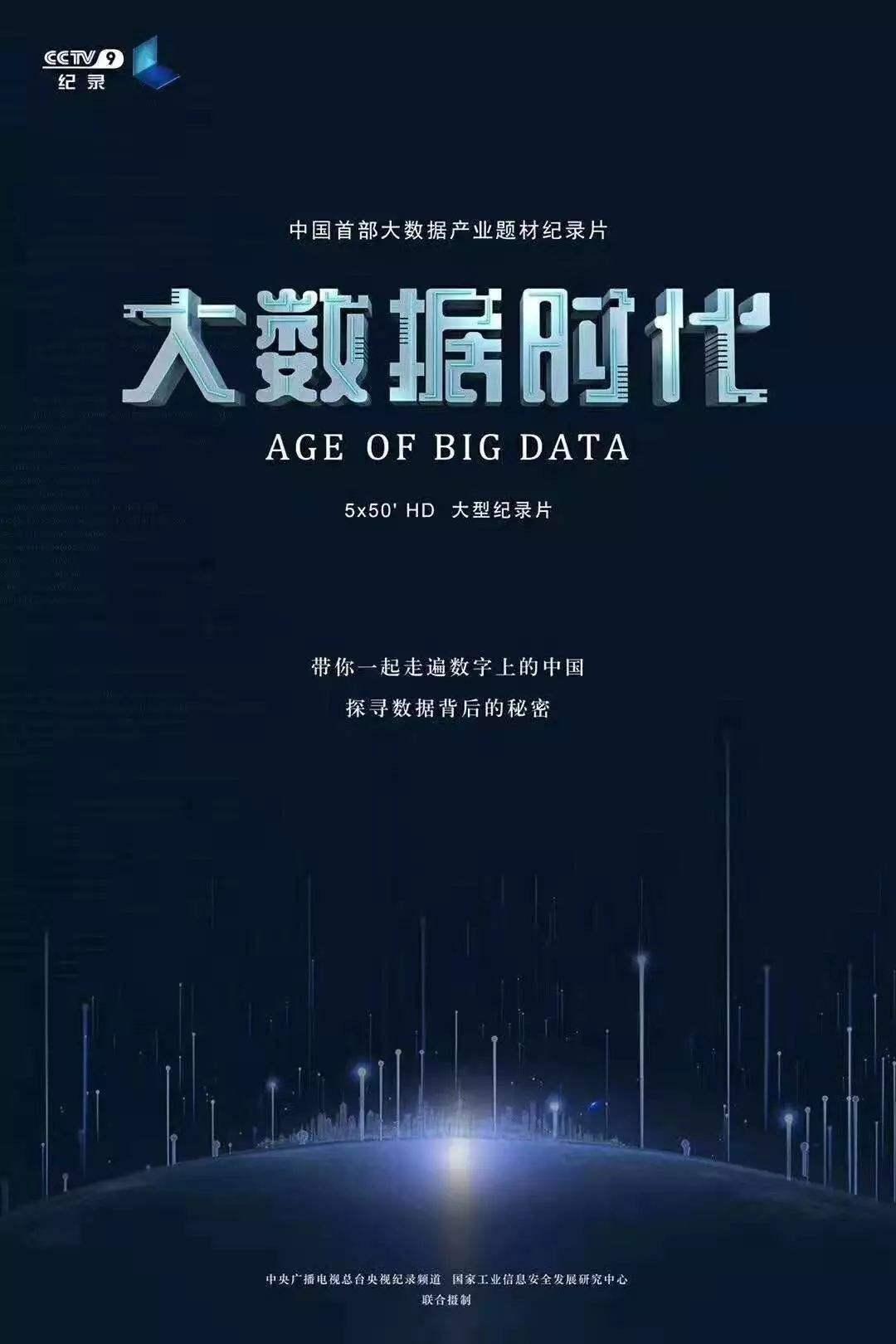 Poster de 大数据时代