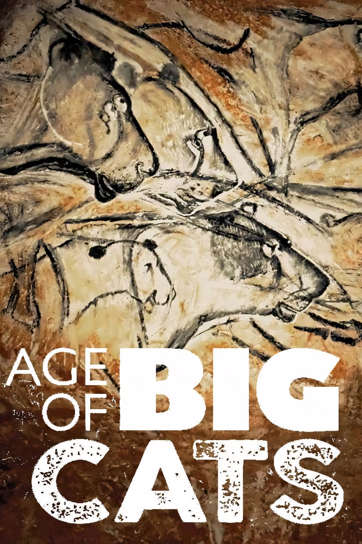 Poster de Age of Big Cats
