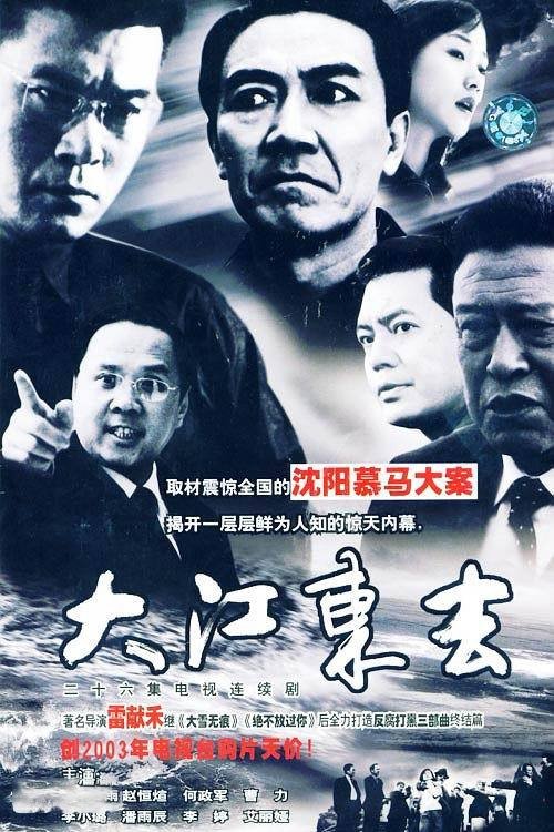 Poster de 大江东去