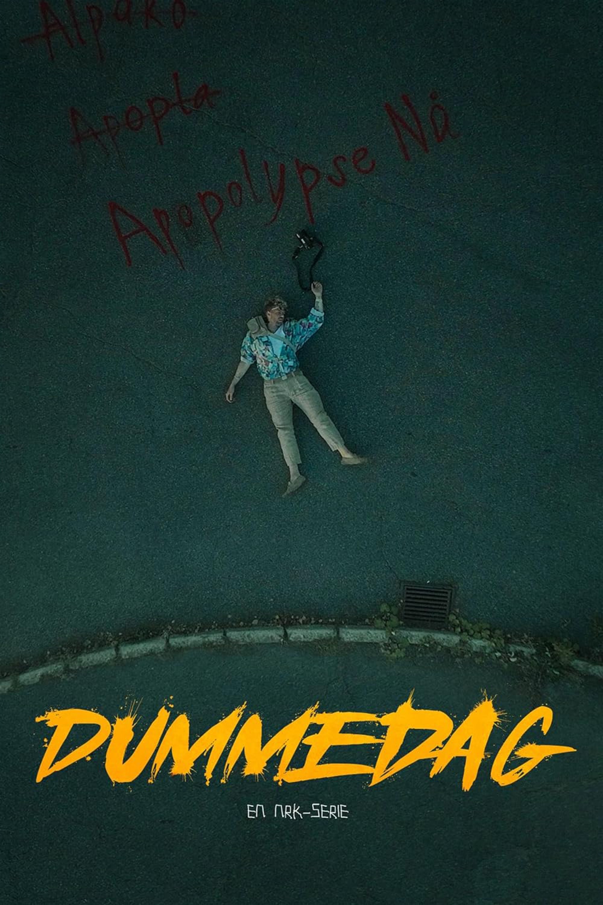 Poster de Dummedag