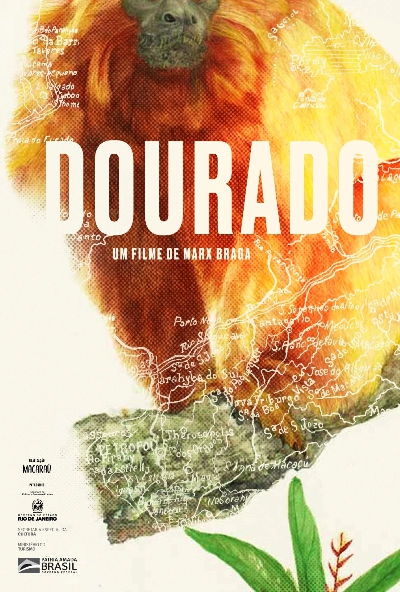 Poster de Dourado