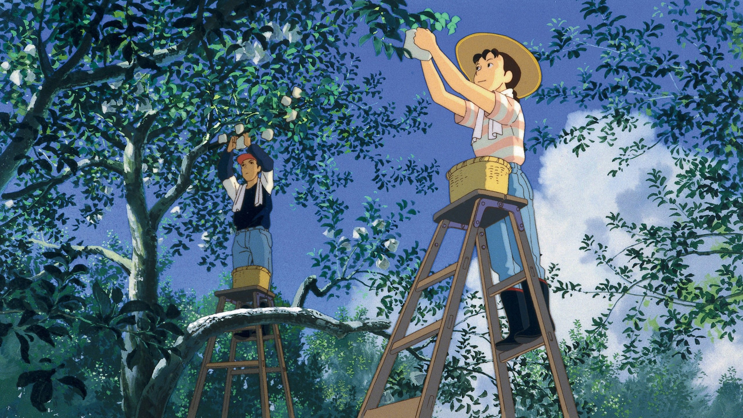 Backdrop image