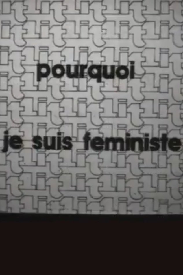 Poster de Questionnaire - Simone de Beauvoir: pourquoi je suis féministe