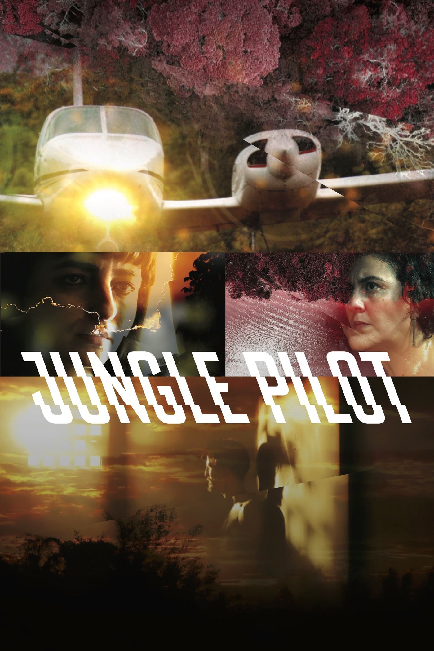Poster de Jungle Pilot