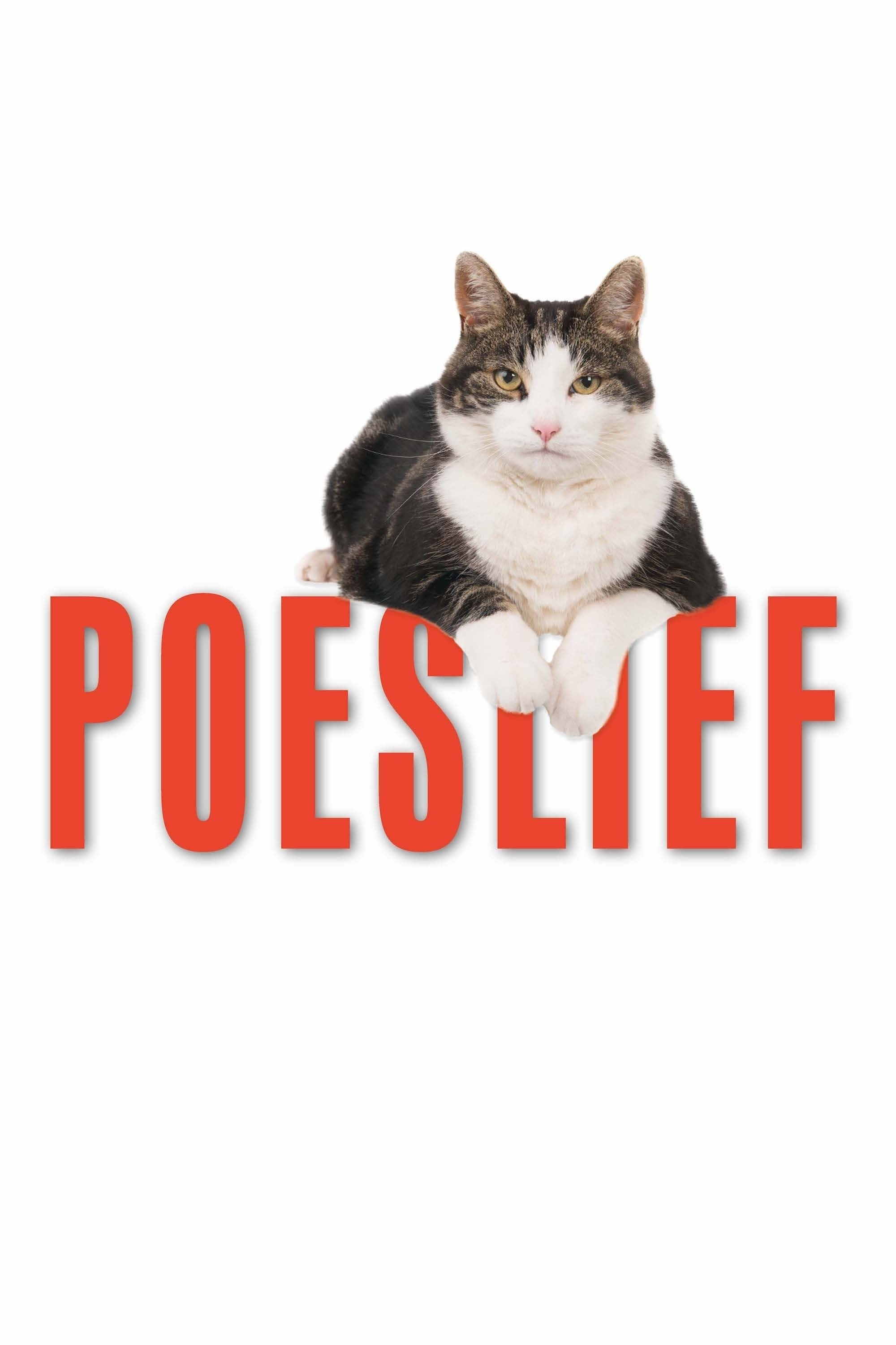 Poster de Para os Felinos que Amamos