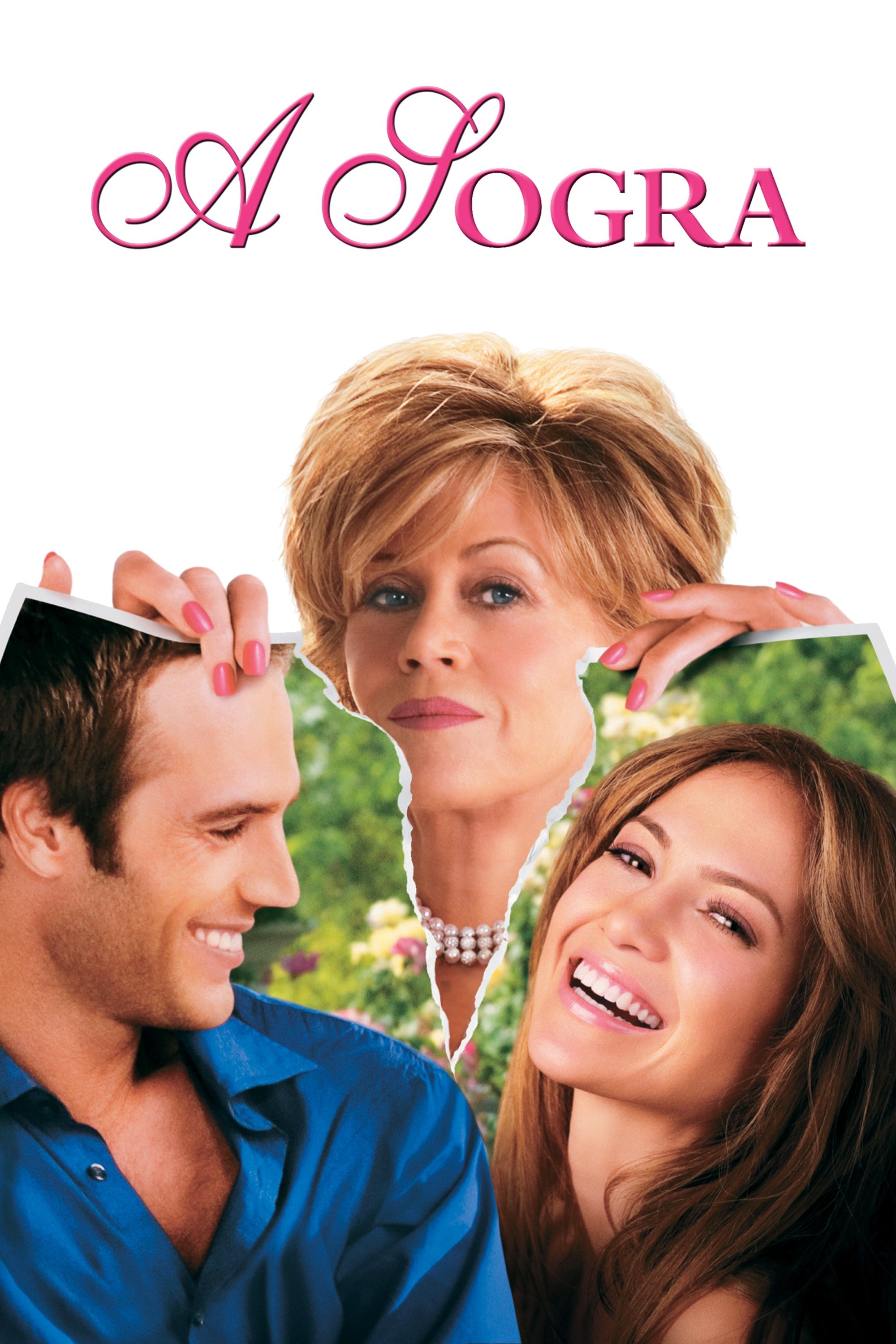Poster de A Sogra