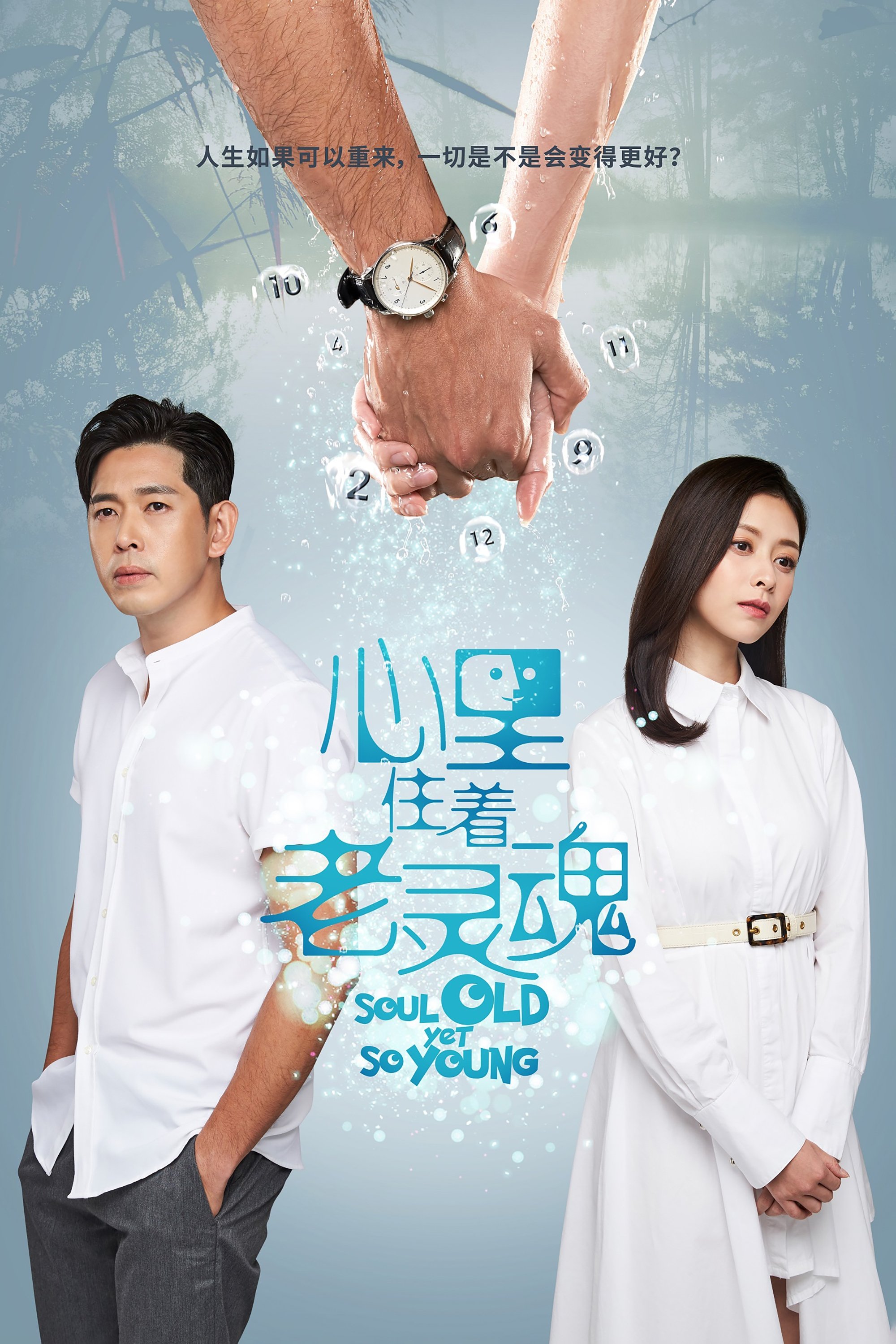 Poster de 心里住着老灵魂