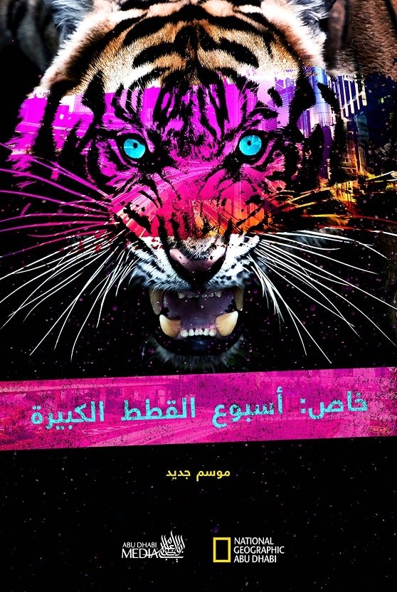 Poster de Big Cat Week Collection