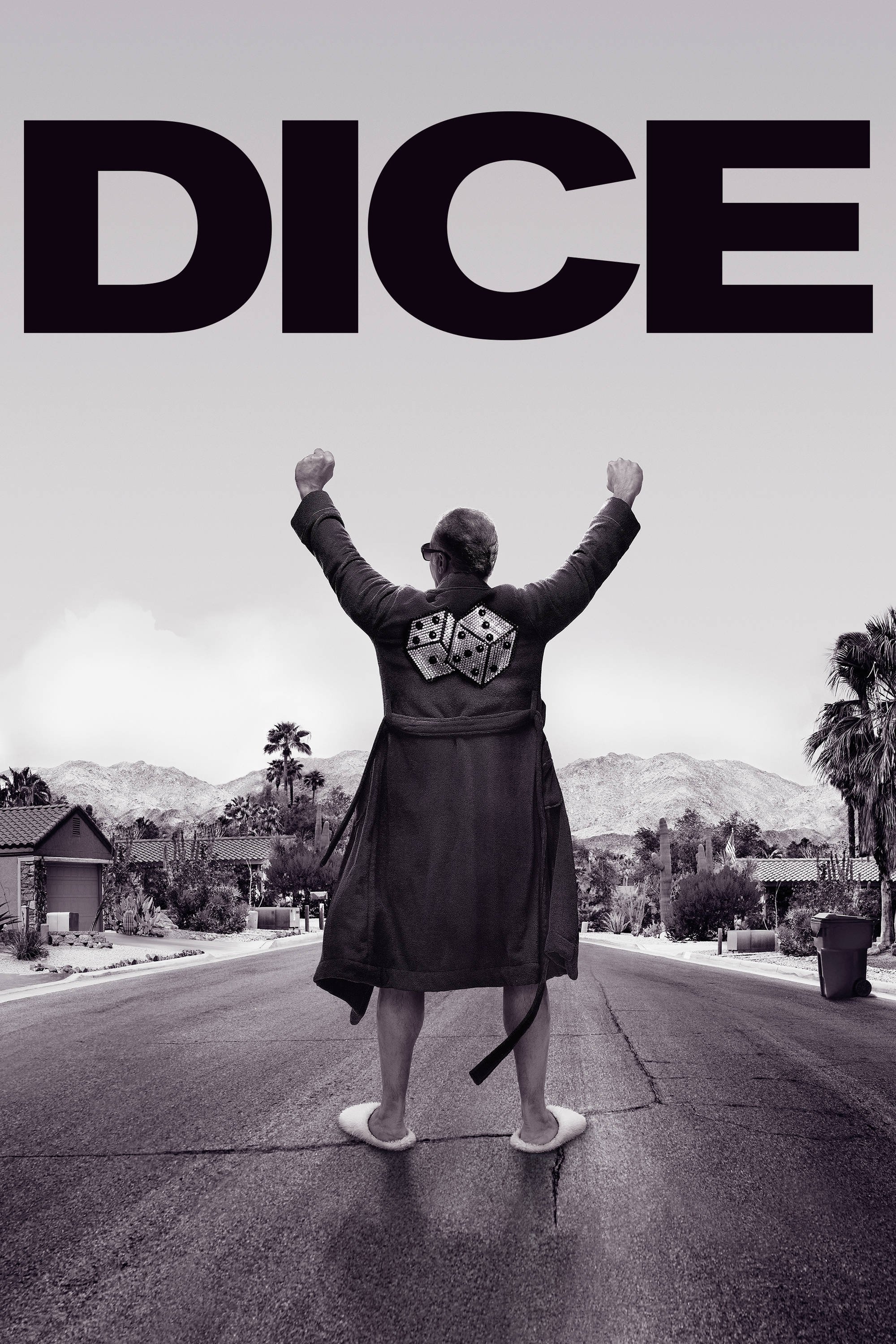 Poster de Dice