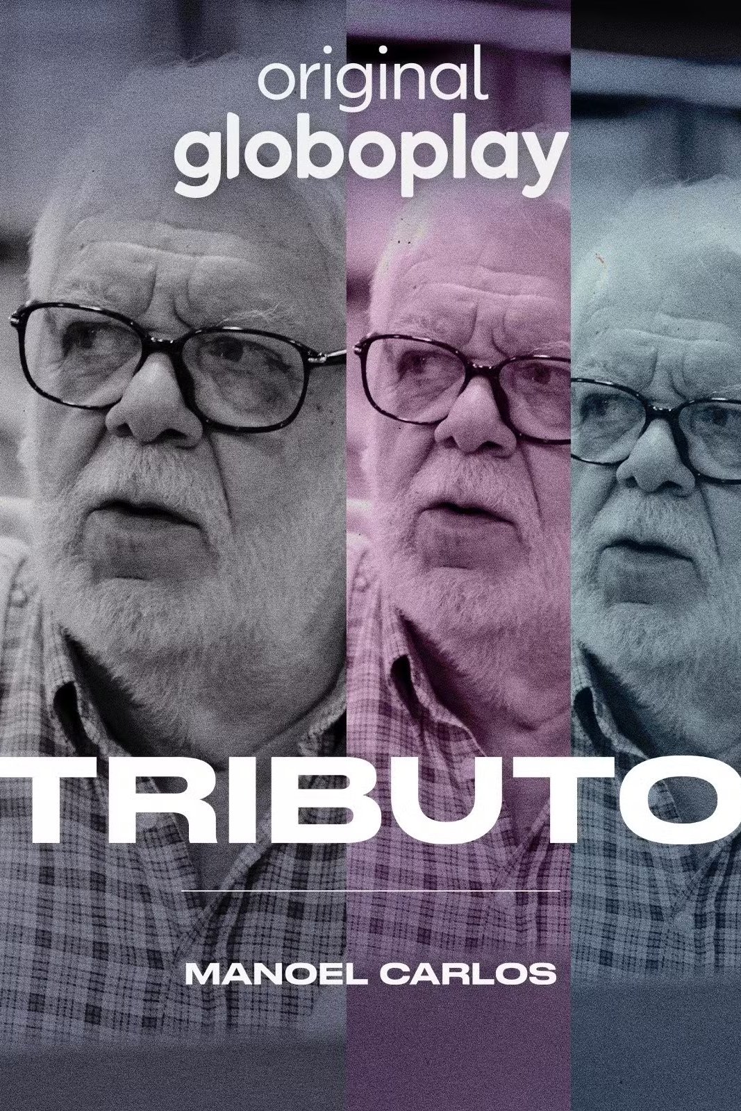 Poster de Tributo: Manoel Carlos