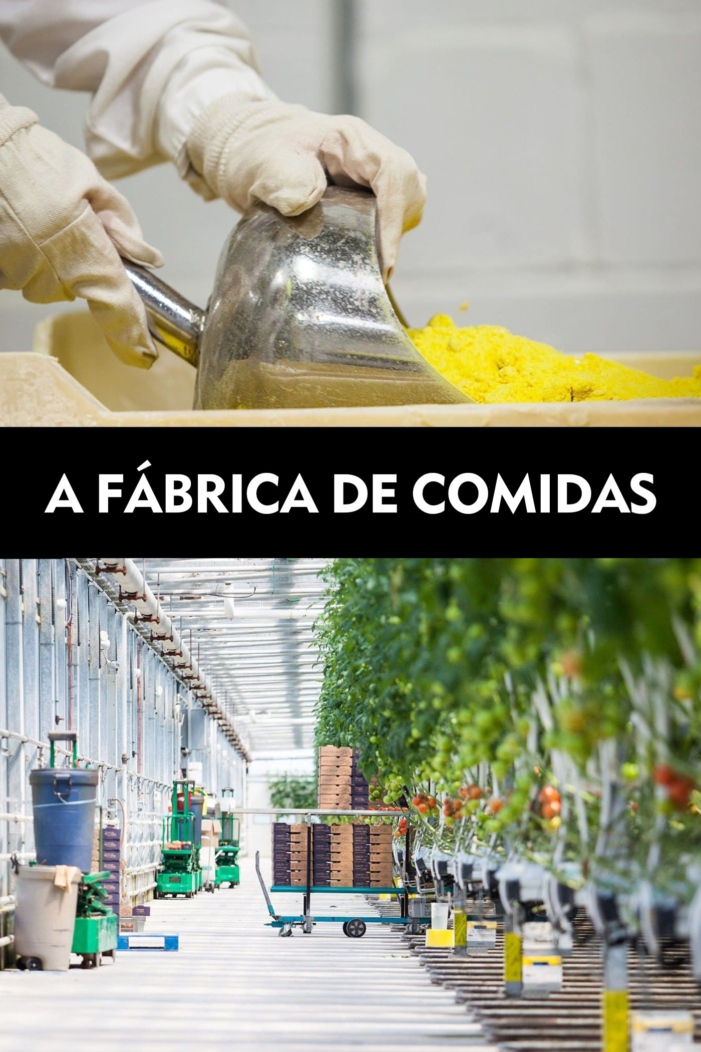 Poster de A Fábrica de Comidas