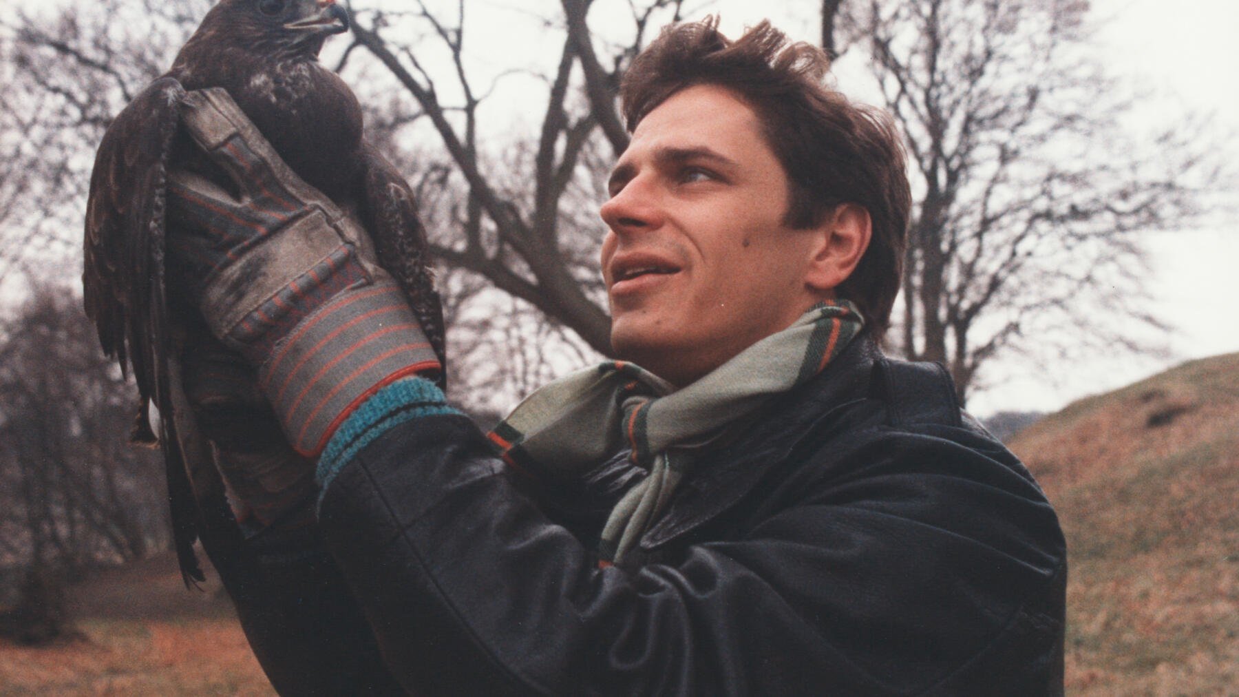 Movie picture