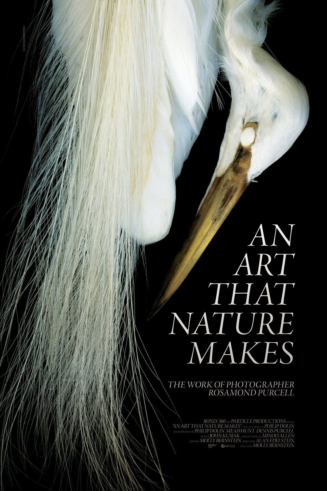 Poster de An Art That Nature Makes: The Work of Rosamond Purcell