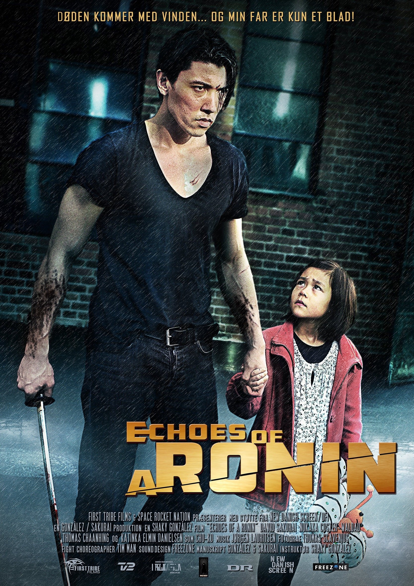 Poster de Echoes of a Ronin